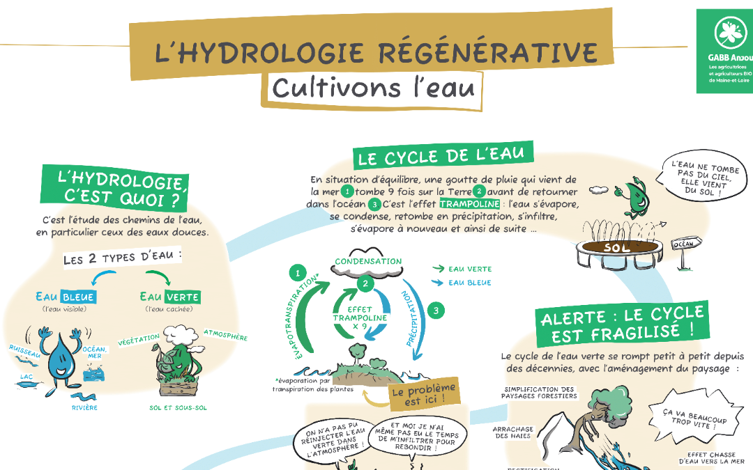 Infographie | L&rsquo;hydrologie régénérative illustrée