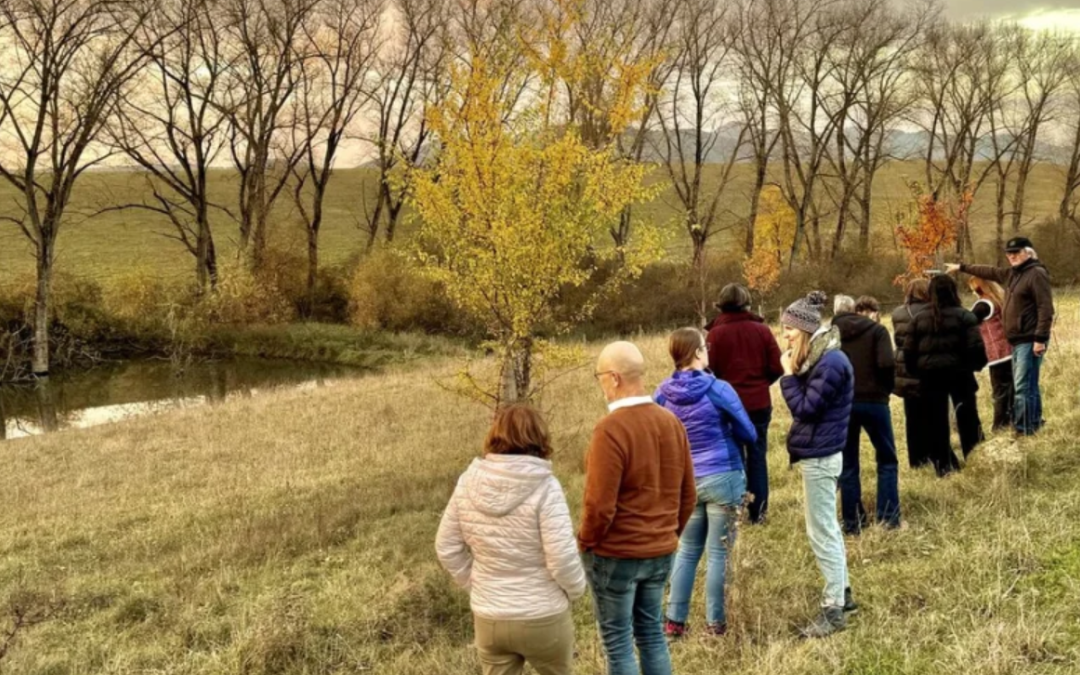 Webinaire | Master class Slovak Water Tour