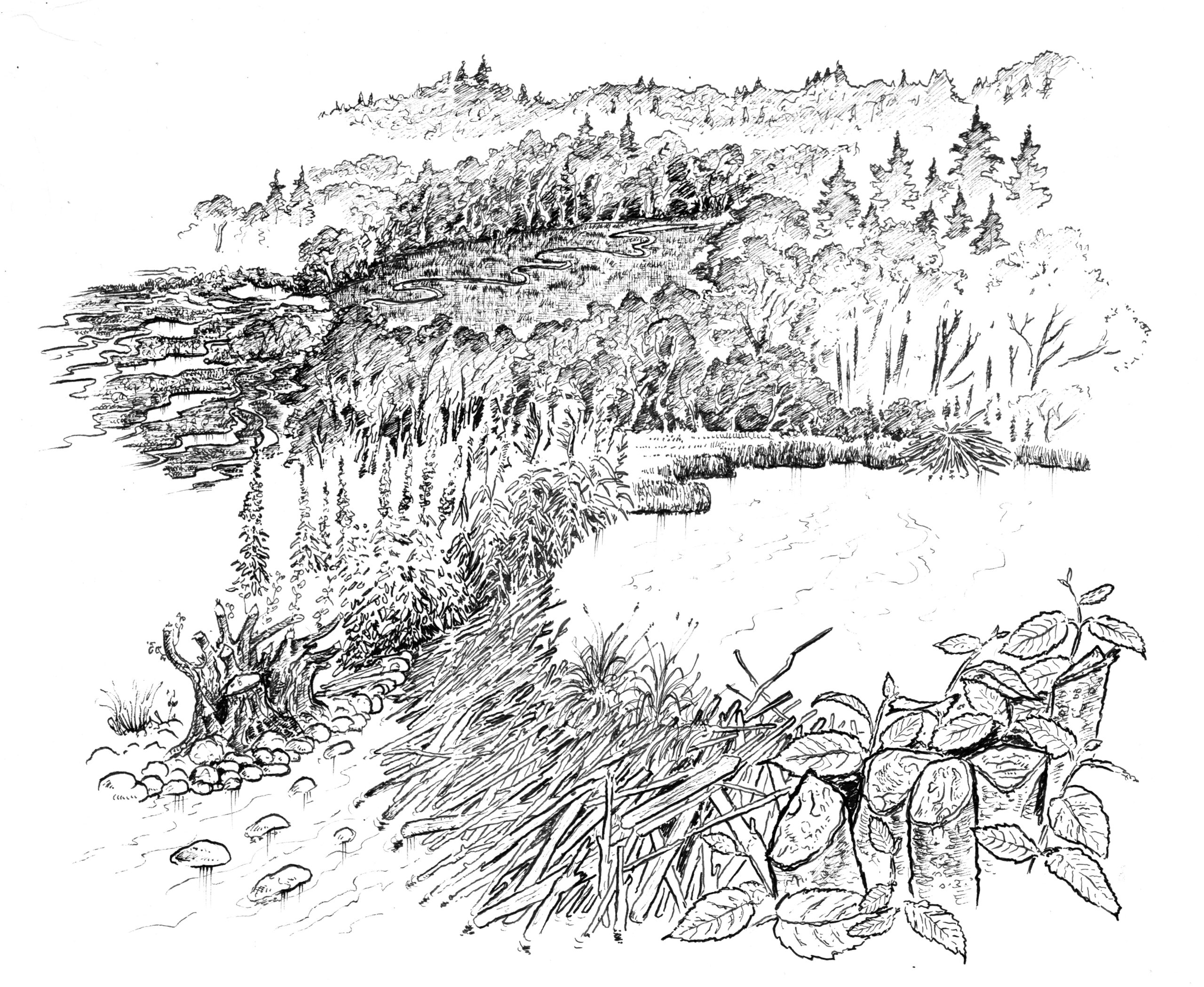 Illustration Eaux Vives Jean-Alfredo Albert