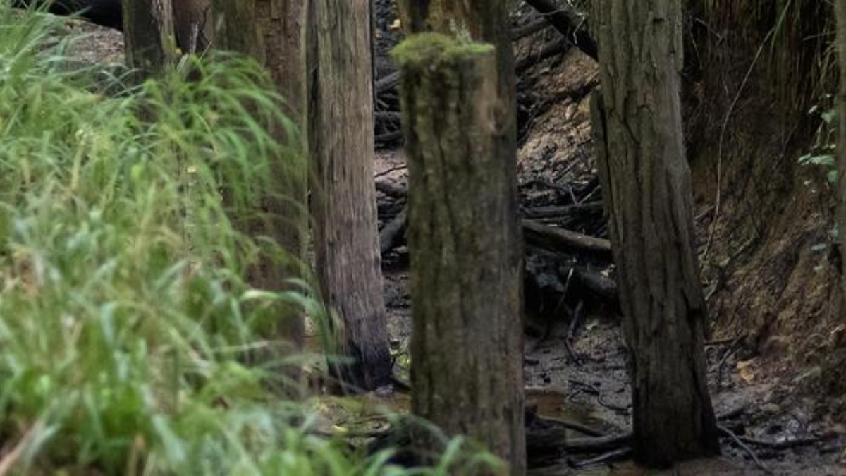 PUHR hydrologie regenerative en milieu foret avec ONF