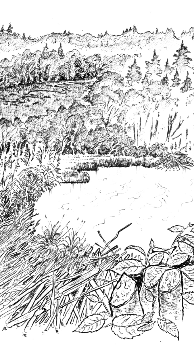 puhr-illustration-livre-jean-alfredo-albert Illustration Livre Eaux Vives @ Jean-Alfredo Albert