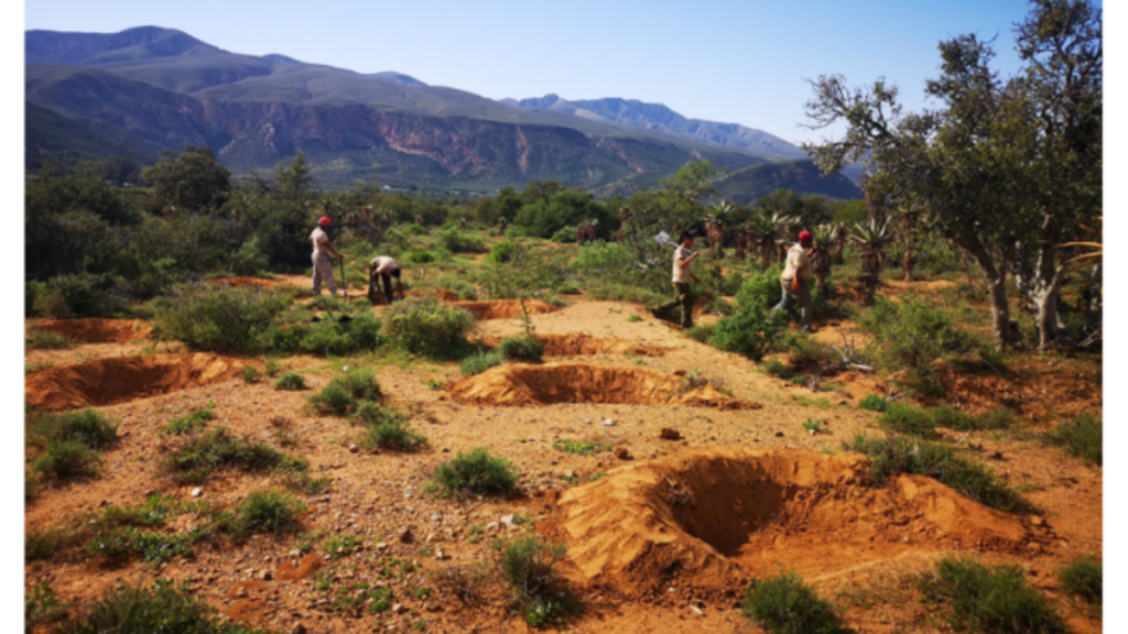 demi-lunes Baviaanskloof Hartland Afrique du sud - Living Lands, PUHR