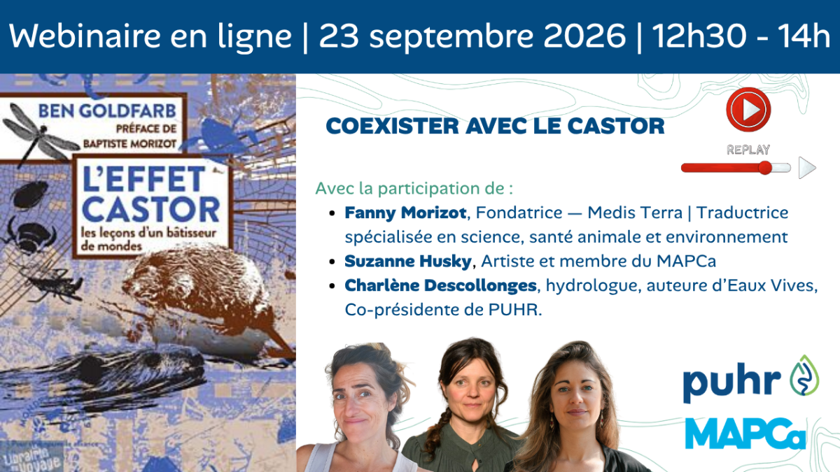 webinaire coesxistence avec le castor PUHR webinaire coesxistence avec le castor PUHR